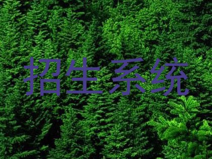 招生系统