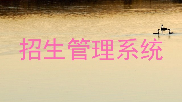 招生管理系统