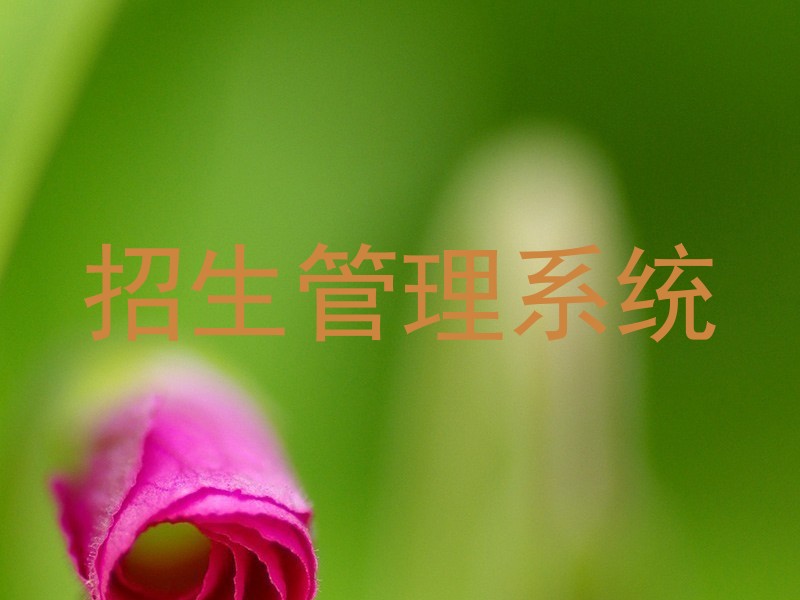 招生管理系统