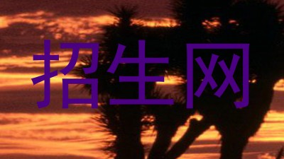 招生网