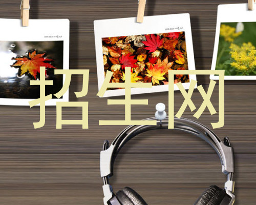 招生网