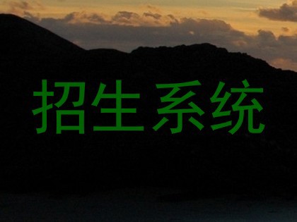招生系统