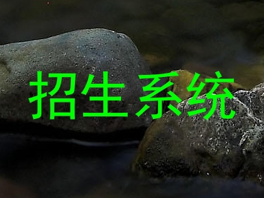 招生系统