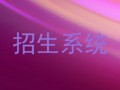 招生系统