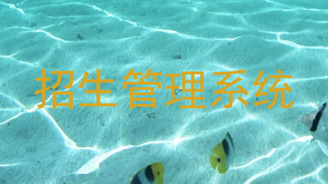 招生管理系统