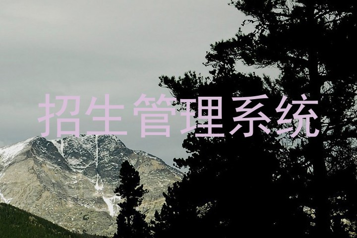 招生管理系统
