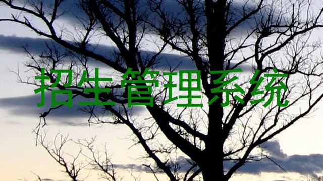 招生管理系统
