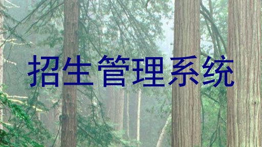 招生管理系统