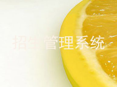 招生管理系统