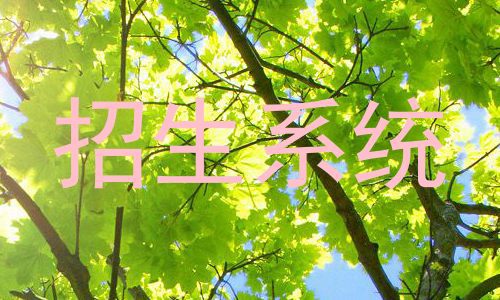 招生系统