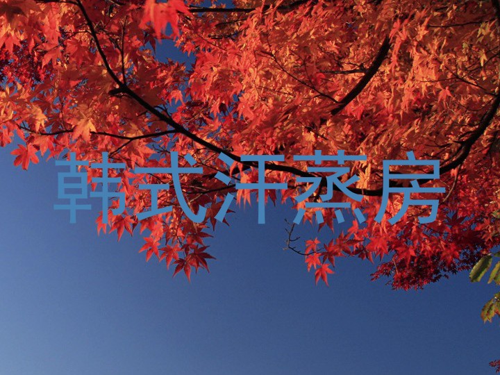 韩式汗蒸房