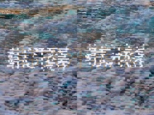 韩式汗蒸幕