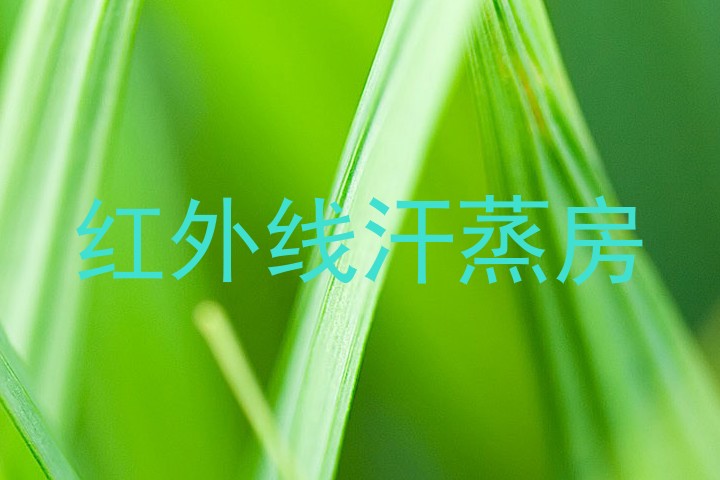 红外线汗蒸房