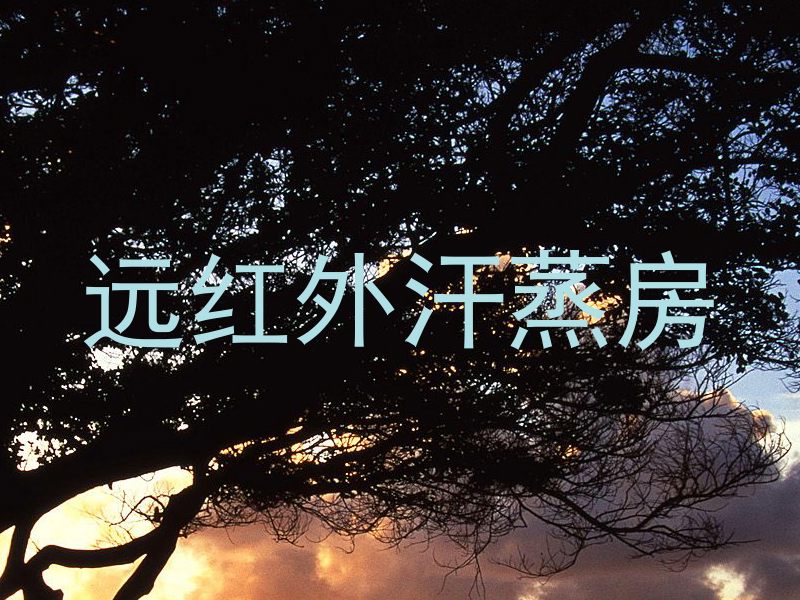远红外汗蒸房