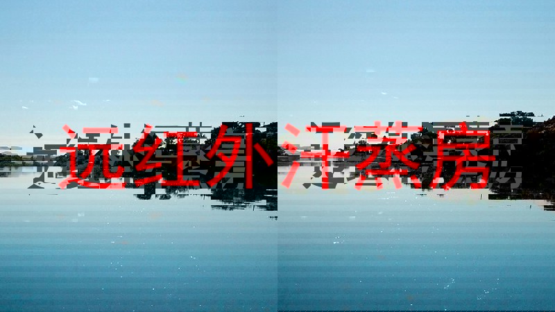 远红外汗蒸房