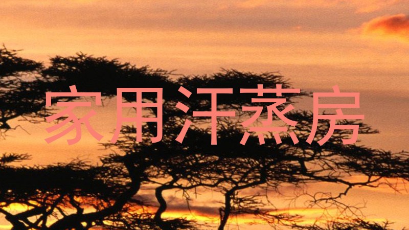 家用汗蒸房