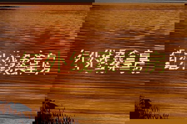 红外线桑拿房