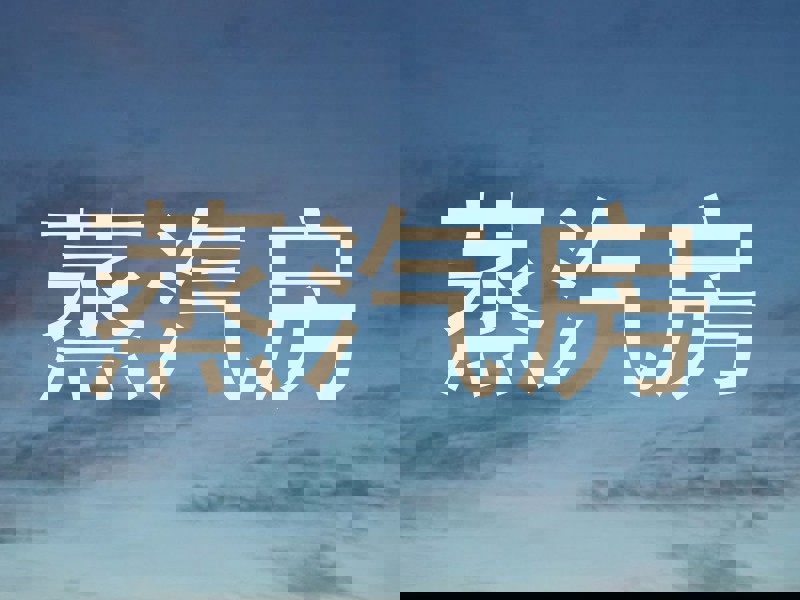 蒸汽房