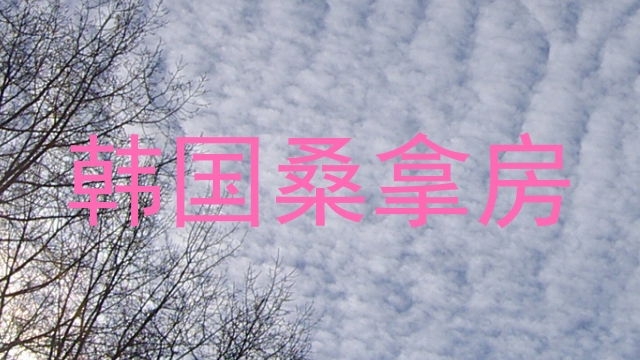 韩国桑拿房