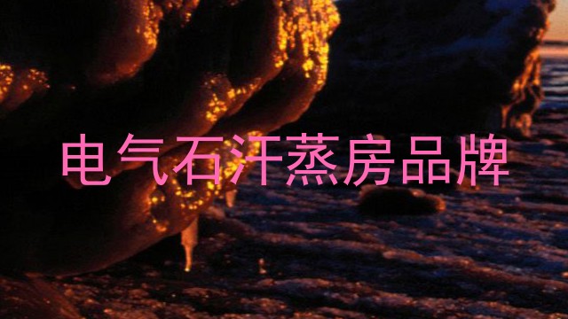 电气石汗蒸房品牌