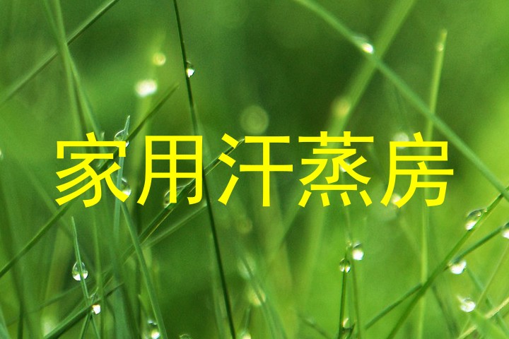 家用汗蒸房