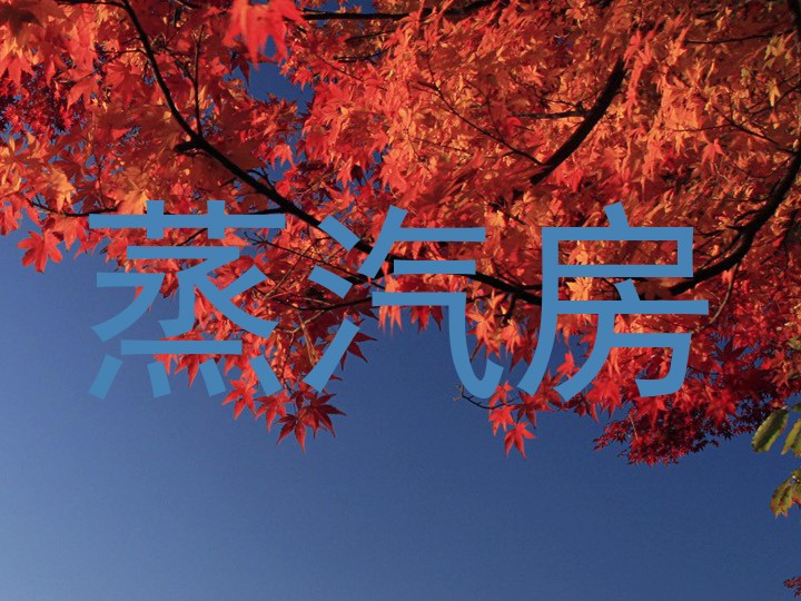 蒸汽房