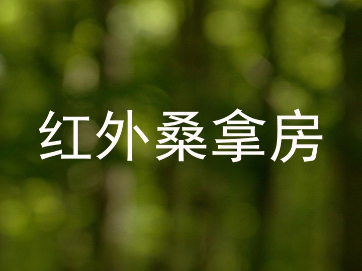 红外桑拿房