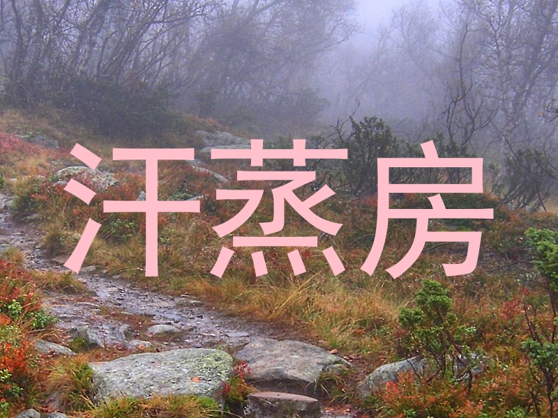 汗蒸房