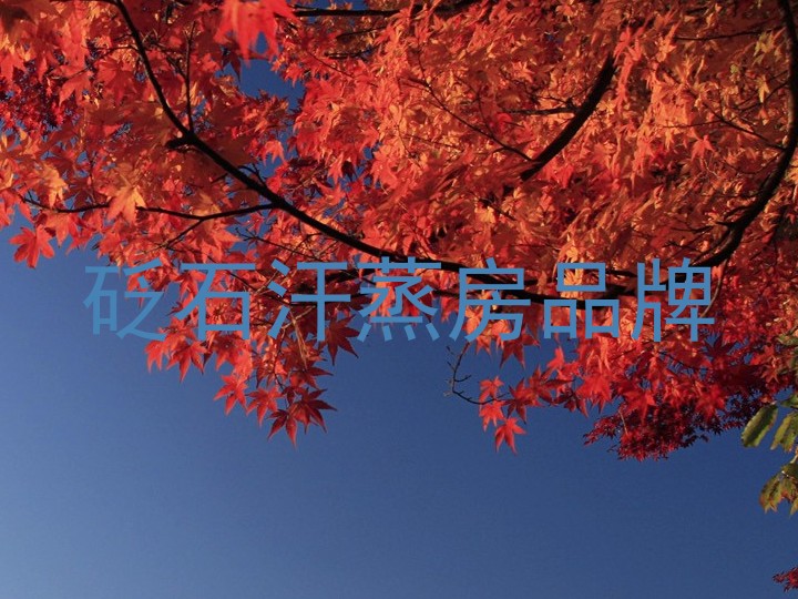 砭石汗蒸房品牌
