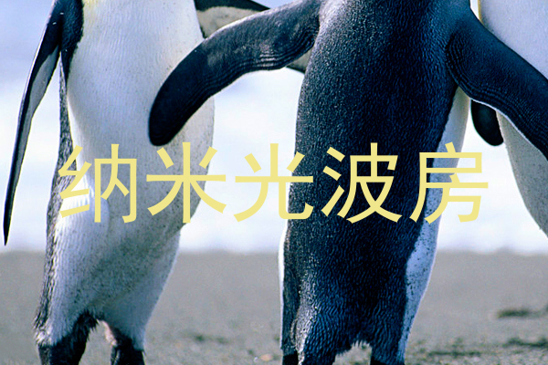 纳米光波房