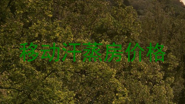 移动汗蒸房价格
