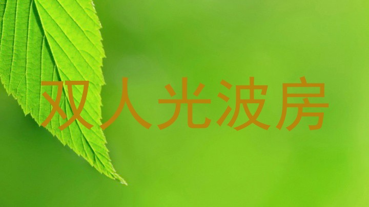 双人光波房
