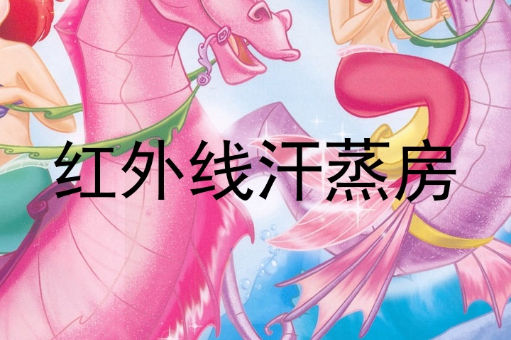 红外线汗蒸房