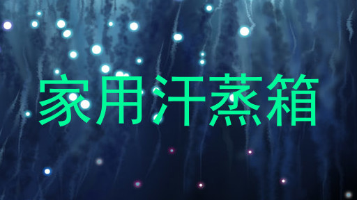 家用汗蒸箱