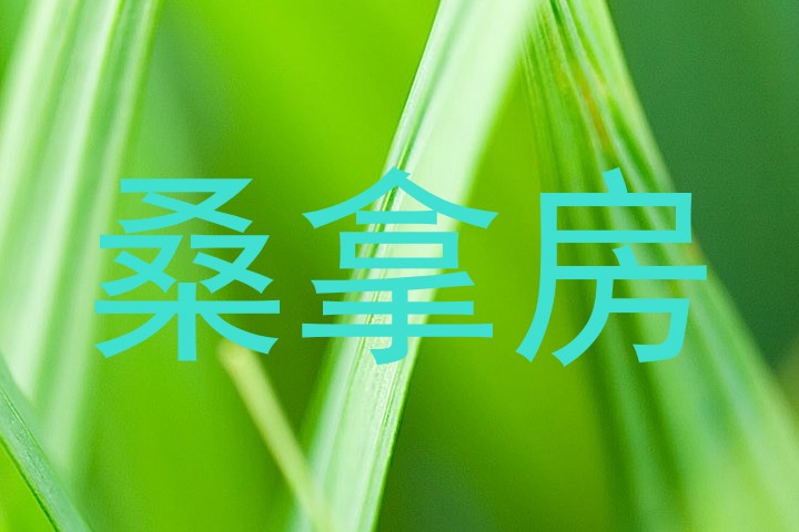 桑拿房