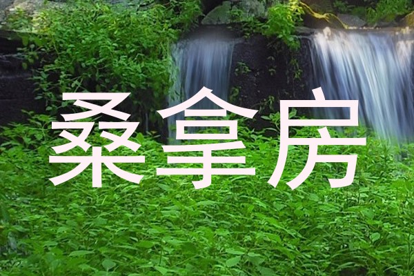 桑拿房