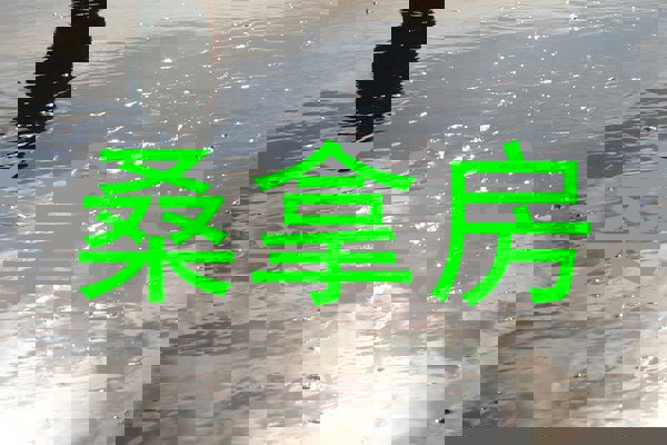 桑拿房