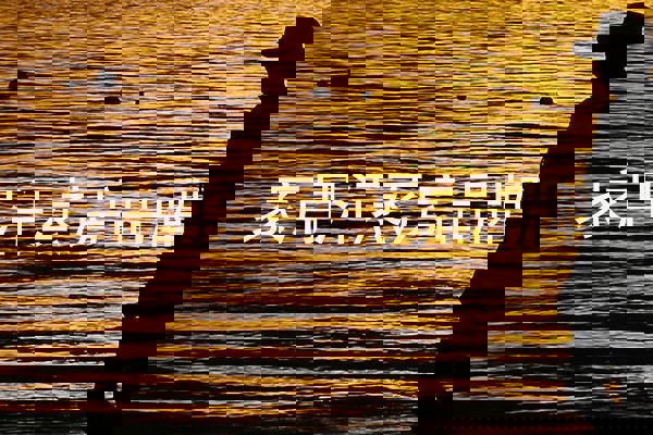 家用汗蒸房品牌