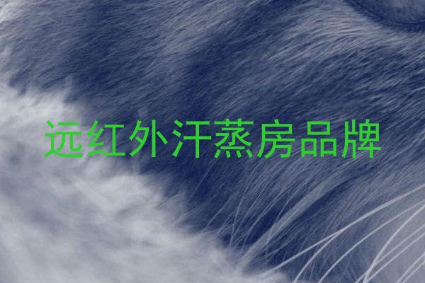 远红外汗蒸房品牌