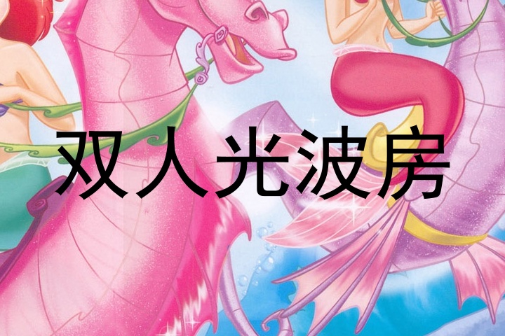 双人光波房