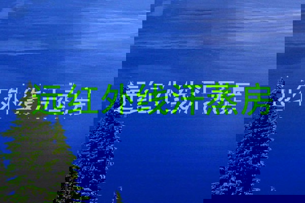 远红外线汗蒸房