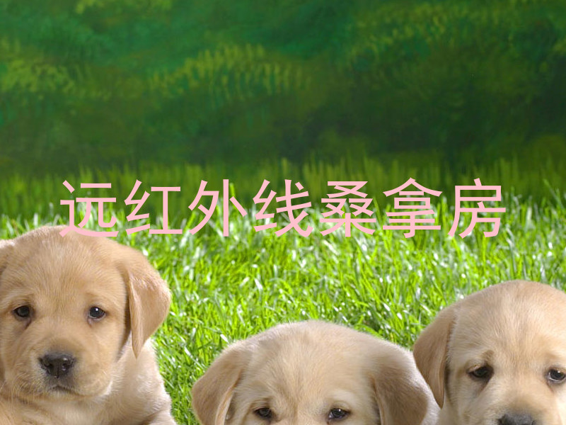 远红外线桑拿房