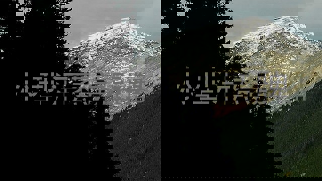 小型汗蒸房品牌