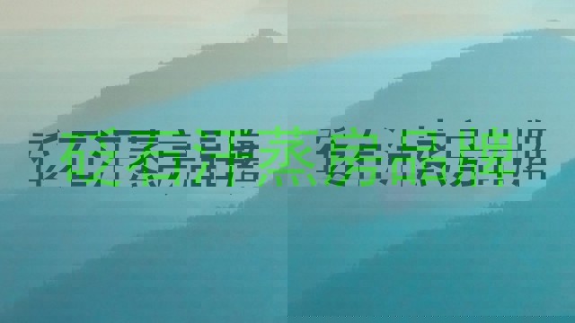 砭石汗蒸房品牌