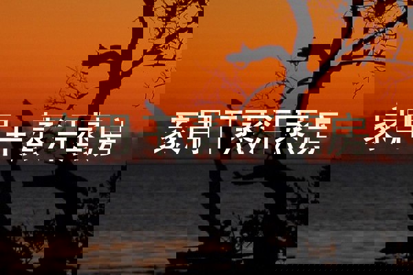 家用干蒸汗蒸房