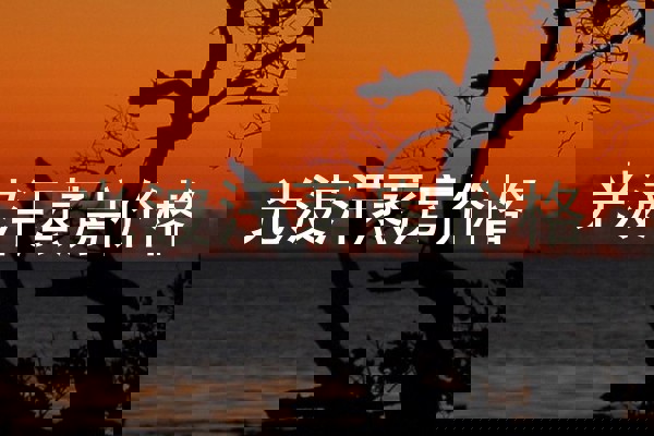 光波汗蒸房价格