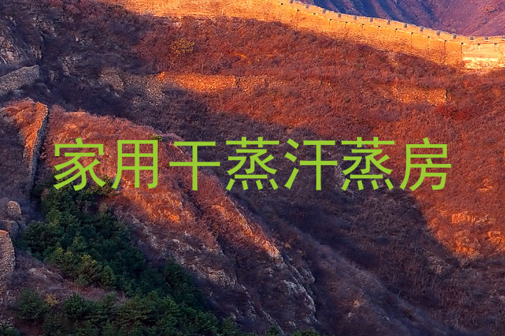 家用干蒸汗蒸房