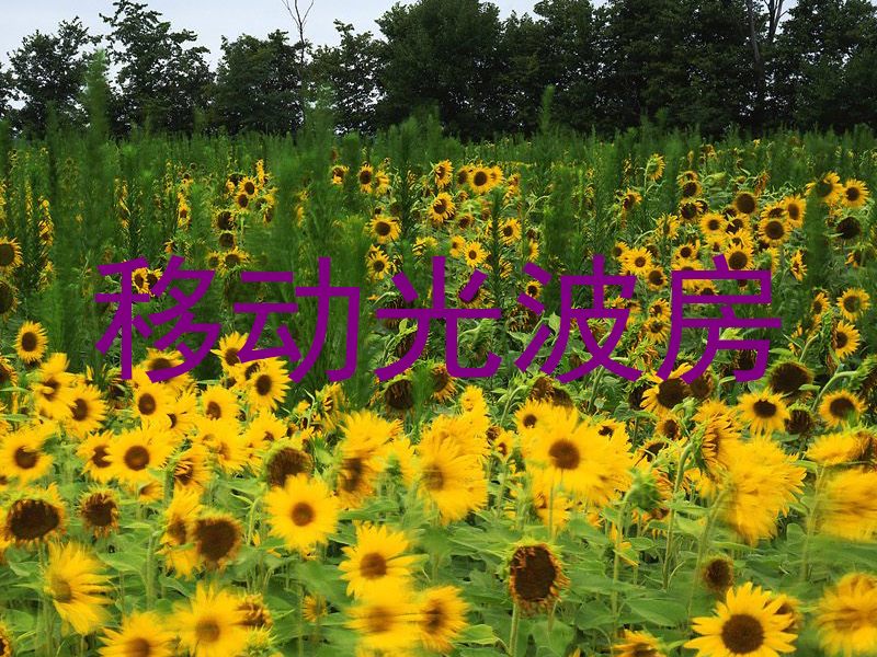 移动光波房