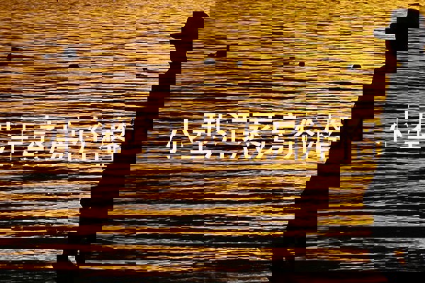 小型汗蒸房价格