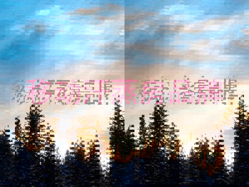 移动汗蒸房品牌